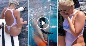 Molly Cavalli Girl Attacked by a Shark broadcasting 2